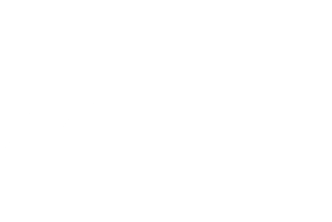 Anest Iwata